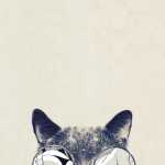 Tomy