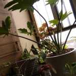 Key_1022