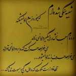 Amir__Nfre3vom