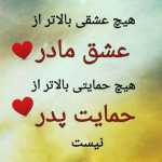 alizarei3556