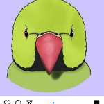 Akadoos