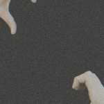 hwiue