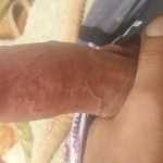 Shadi696