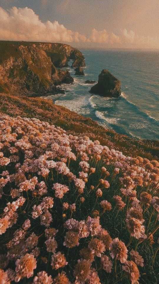 واس اشنای یکی بیاد پی