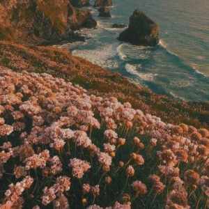 واس اشنای یکی بیاد پی