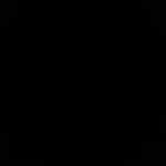 majjjid