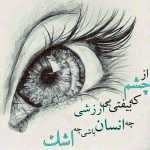 Hamid1366