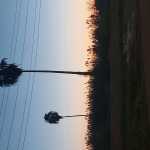 Bahado0or