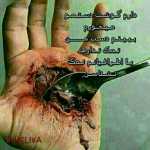 ghodrat1351
