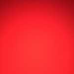 hamed67166