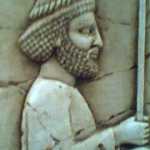 haviz
