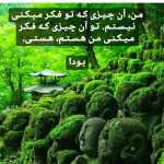 alirezaxb13