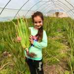 amirali7777