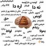 Ariansolei