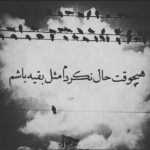 Aminmmm