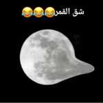 mamali1771