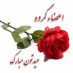 hamid3391