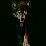 Farhad3076