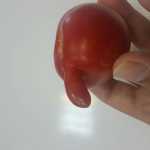 Ali1394