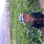 hajitaghiloo