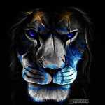 Amirhosein4