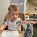Abood1