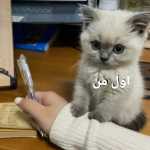 khosrow