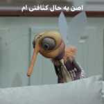 Bokonesf123