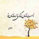 Alihazara