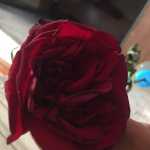 Mohamad1374