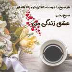 naserlll
