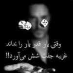 fardin46