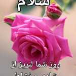 Mojim