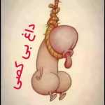 Hamid11228