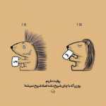 Ali_293