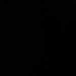 Gvvg
