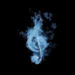 shahin005