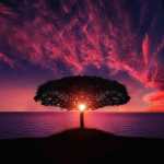 mohsen8888