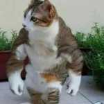 hjtzadhdhb