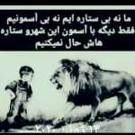 Ali254632