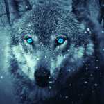 Mahdi12345678900