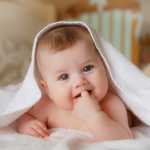 radin1376