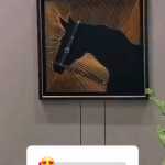 Pesare_mehrabon