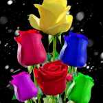 abbas1352