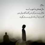 saeedn