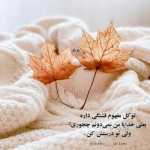 Amirlashkari35