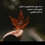 saeedab13