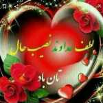 Taha12