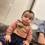 milid_mohammadii