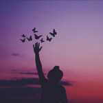 Savash7